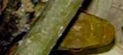 �V�}�w�r 00/10/12����