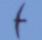 �q���A�}�c�o�� 02/01/27�m�F2�H