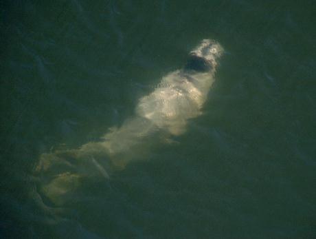 �A�S�q�Q�A�U���V�|�^�}�����5