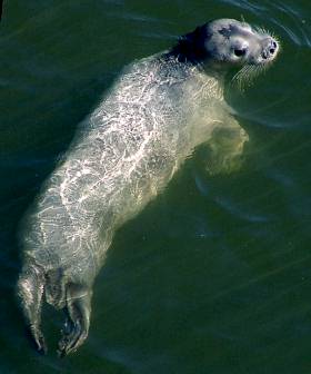 �A�S�q�Q�A�U���V�|�^�}�����1