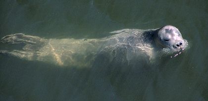 �A�S�q�Q�A�U���V�|�^�}�����2