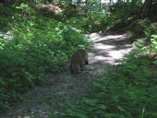 �A�i�O�}�@�o�R�������