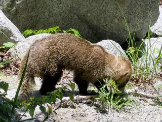 �A�i�O�}�@�����@��