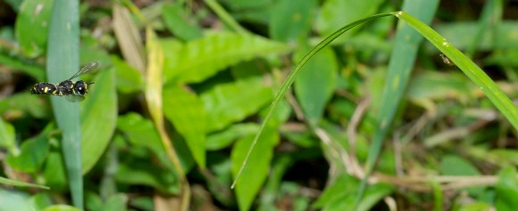 �t�̗��ɂ���q���^�A�u�ɑ_�����߂�C���^�M���O�`�H