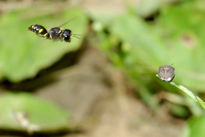 �J�����V���K��������C���^�M���O�`�H