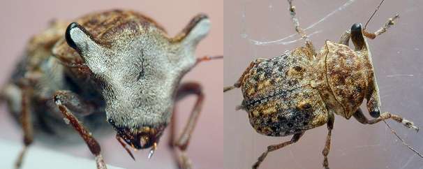 �G�S�q�Q�i�K�]�E���V0