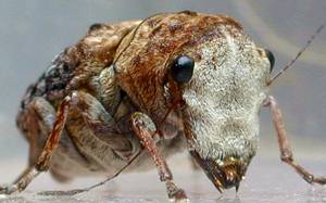 �G�S�q�Q�i�K�]�E���V1