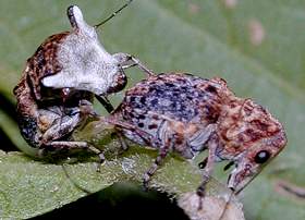 �G�S�q�Q�i�K�]�E���V2